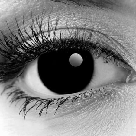 Gothika Black Out Contact Lenses