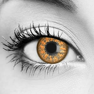 Hazel Autumn