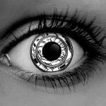 Syborg Contacts