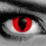 Red Cat